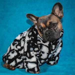 📸@DavinatheFrenchie